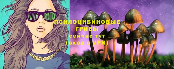 мет Надым